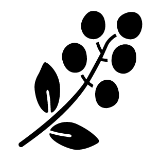 Durchführungen von Veranstaltungen